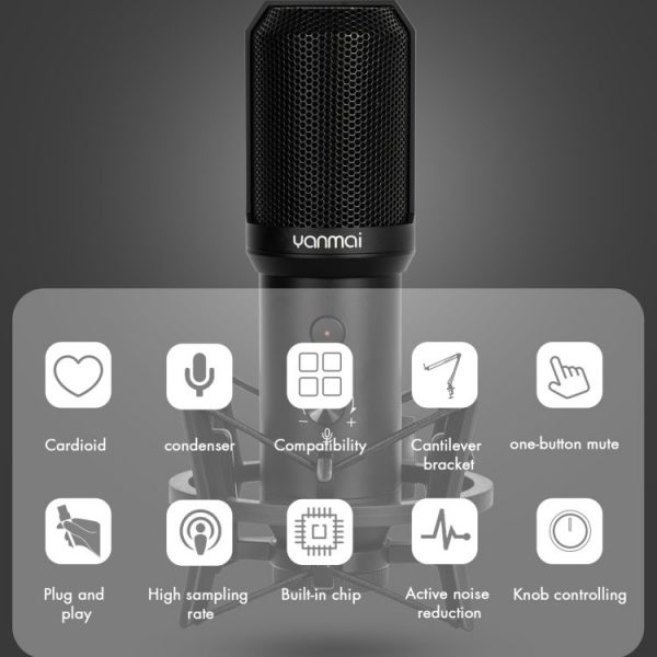 Yanmai Q10B Microphone Kit 6