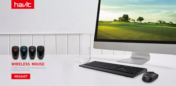 HAVIT MS626GT Wireless Mouse
