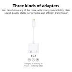 ONTEN iPhone Lighting Adapter