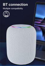 Kisonli Q15 Bluetooth Speaker