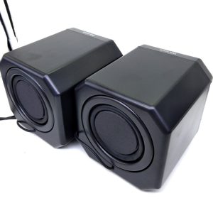WESDAR CS2 Speaker