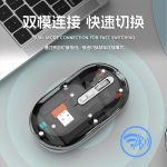 R8 1766 Rechargeable Transparent Dual-Mode Mouse