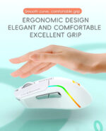 R8 1761 Rechargeable Dual Mode Mouse