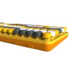 JEDEL WS682 Dual Mode Combo