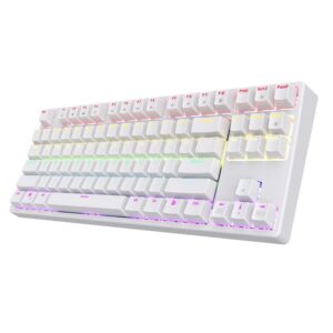 ASESTEK AK87 TKL Gaming Keyboard