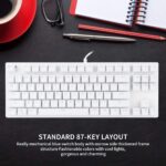 ASESTEK AK87 TKL Gaming Keyboard