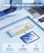 JeDEL WKL102 Wireless Gaming Mechanical Keyboard