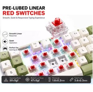 Founder GK87 Wireless Mechanical Keyboard